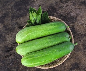 Delicius (150 seminte) castraveti semi-lungi de salata, gustosi, soi semitimpuriu, Toraf - Img 2