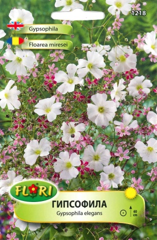 Floarea Miresei - Seminte Flori Planta Anuala de la Florian - Img 2