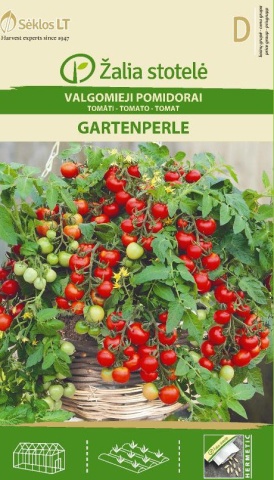 Gartenperle (30 seminte) rosii cherry semitimpurii determinate, pentru ghiveci, Seklos - Img 2
