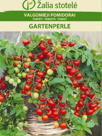 Gartenperle (60 seminte) de rosii soi ornametal cu randament ridicat, Seklos - Img 2