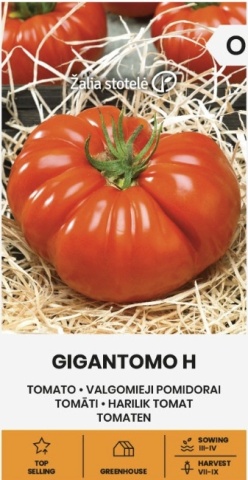 Gigantomo F1 (10 seminte) rosii mari pana la 1 kg tip Beefsteak, carnoase, gust si aroma excelente, Seklos - Img 5