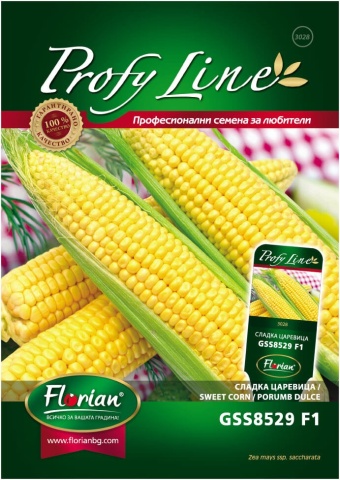 GSS 8529 F1 (5 gr) seminte porumb super zaharat, rezistent la boli, productie mare, Syngenta & Florian