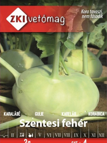 Gulie Szentesi Feher (500 seminte) gulioare atractive, rezistente la crapare, ZKI - Img 1