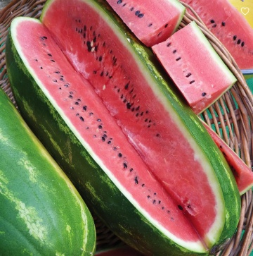 Jubilee (100 gr) seminte pepene verde in forma alungita alungita coaja dungata, 12-14 kg, RACI Sementi