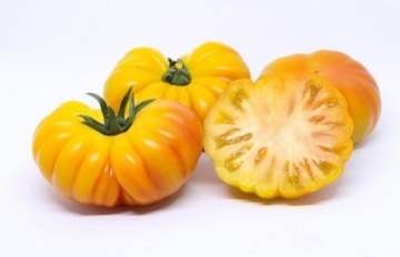 Lacitrine F1 (5 seminte) tomate galbene mari tip Beef, costate, foarte aromate, Seklos - Img 2