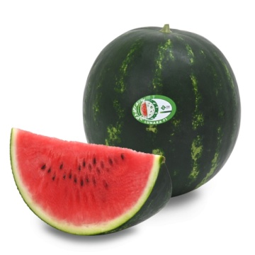 Lunara F1 (500 seminte) pepene verde cu pulpa crocanta, dulce, ZKI