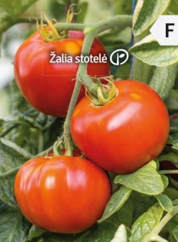 Maestria F1 (10 seminte) rosii cu fructe de culoare rosu aprins, mari, rotunde, usor crestate, Seklos - Img 2