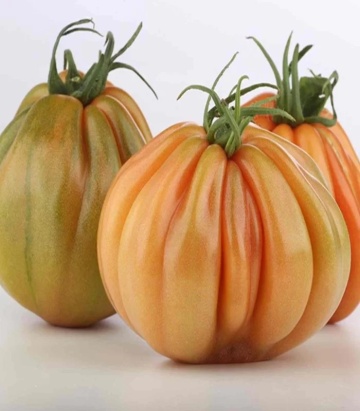 MamiPink F1 (100 seminte) tomate nedeterminate, tip inima de bou roz, Enza Zaden - Img 1