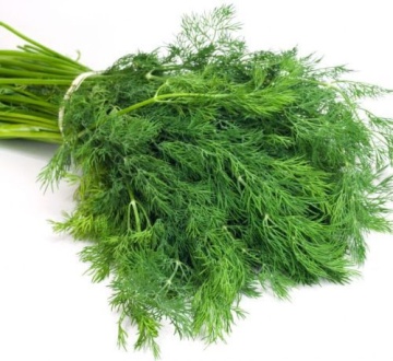 Marar Comon (5000 seminte) marar comun aromat, Florian
