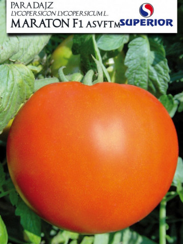 Maraton F1 (1 gr) seminte rosii hibrid nedeterminat, Superior Seeds Serbia - Img 1