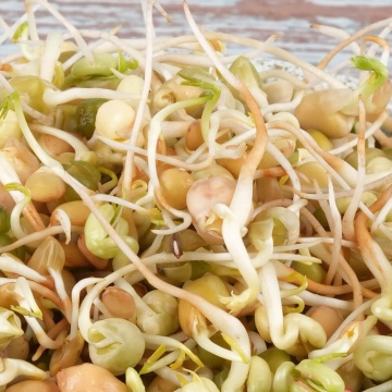 Mieszanka Chinska - Amestec Chinezesc (40 gr) seminte pentru germeni sau vlastari, amestec de plante din bucataria chinezeasca, Toraf - Img 2