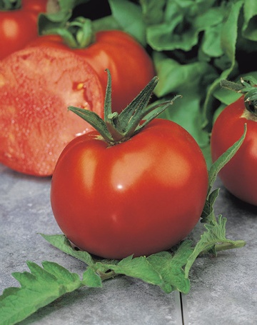 Montecarlo F1 (30 seminte) de tomate deosebite, soi origine Italia, Sgaravatti