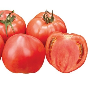 Pink Ince F1 (1000 seminte) rosii roz mari, semitimpurii nedeterminate, gust bun, Yuksel