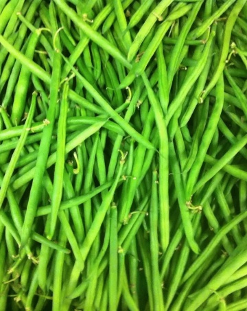 Prelude (100 gr ) fasole pitica verde fideluta, pastai lungi, subtiri, fara ate, Pieterpikzonen