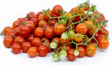Red Currant Wildtomate (8 seminte) rosii salbatice cherry mici, aromate, recolta abundenta, Sperli - Img 3