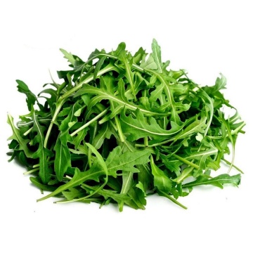 Rocket Salad BIO (700 seminte) rucola BIO aromata, Seklos - Img 2