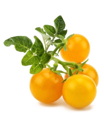 Rosii Yellow Cherry (60 seminte) rosii cherry galbene extrem de productive, Agrosem