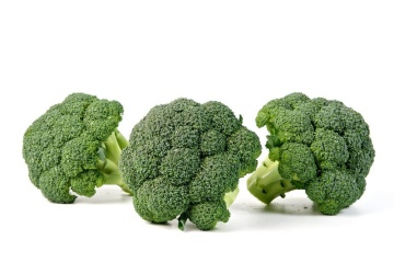 Triton F1 (1000 seminte) de broccoli cu plante viguroase si aparat foliar puternic ce prezinta o foarte buna capacitate de adaptare la diferite conditii de cultura, Sakata