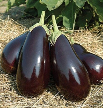 Agata F1 (20 seminte) vinete fructe mari, negre, pulpa alba, seminte foarte putine, Seklos - Img 1