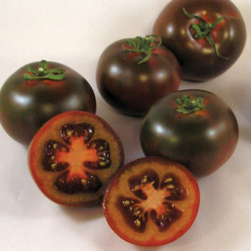 Bombonera F1 (5 seminte) rosii tip Kumato negre-ciocolatii, tomate exotice, Seklos - Img 2