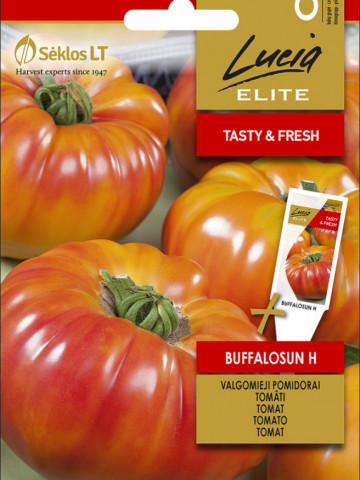 Buffalosun F1 (10 seminte) tomate galben-portocalii tip Ananas, cu dungi rosii, fructe de 350 - 400 gr, Clause - Img 1