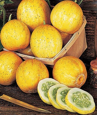 Castraveti Lemon-Apple (1 gr) seminte de catraveti exotici, aroma dulce-picanta, niciodata amara, Florian - Img 2
