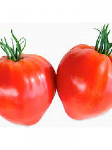 Coralina (600 seminte) Tomate Tip Cireasa Cherry Soi Nedeterminat SCDL Buzau - Img 1