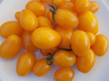 Corina snack (35 seminte) rosii cherry timpurii, Agrosel