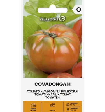 Covadonga F1 (10 seminte) rosii mari, carnoase, culoare deosebita, rosu cu verde, Seklos - Img 3
