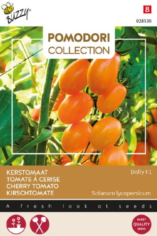 Dolly F1 (7 seminte) tomate cherry galben-portocalii timpurii nedeterminate, gust dulce, Pomodori Collection, Buzzy - Img 2