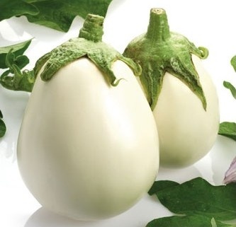 Gaia F1 (500 seminte) vinete albe ovale, mari, pulpa dulce, seminte putine, Profit Seeds - Img 2