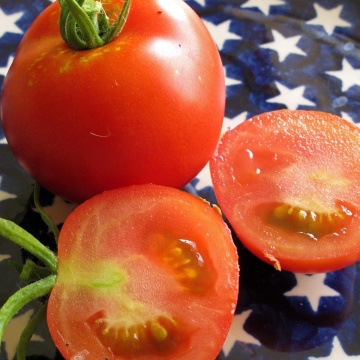 Hellfrucht BIO (50 seminte) tomate timpurii rezistente la crapare, foarte aromate, potrivite si pentru ghivece, ReinSaat - Img 3