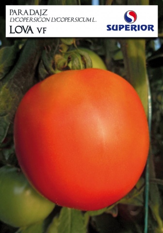 Lova (10 gr) seminte de tomate timpurii de camp, Superior Seeds Serbia