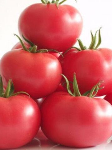Manistella F1 (500 seminte) tomate de culoare roz, nedeterminate, rezistenta la crapare, Hazera - Img 1