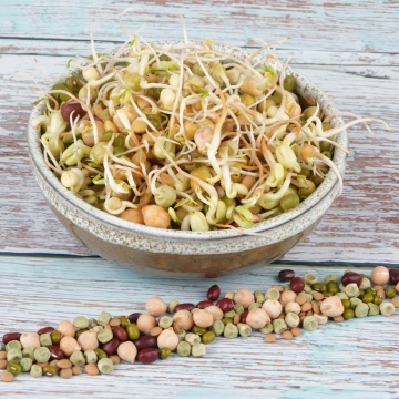 Mieszanka Chinska - Amestec Chinezesc (40 gr) seminte pentru germeni sau vlastari, amestec de plante din bucataria chinezeasca, Toraf - Img 3