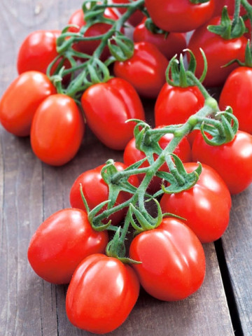 Mieszko F1 (150 seminte) tomate de camp, soi mediu tarziu, pentru cultivarea industriala, PlantiCo - Img 1