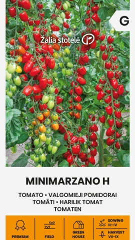 MiniMarzano F1 (10 seminte) de rosii tip mini cherry alungite de 25-30 g, foarte gustose si productive, Seklos - Img 2
