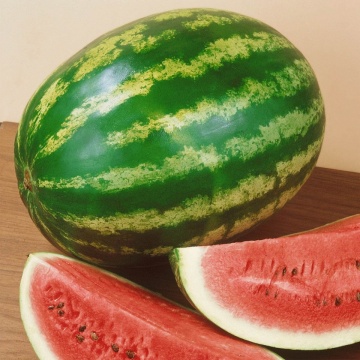 Obla F1 (500 seminte) de pepene verde foarte apreciat pe piata productiv si uniform cu fructe de 11-12 kg forma ovala pulpa dulce rezistent la decolorarea exterioara a fructului, Esasem