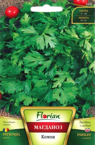 Patrunjel Comon (500 gr) seminte de patrunjel Comon, soi foarte productiv, Florian