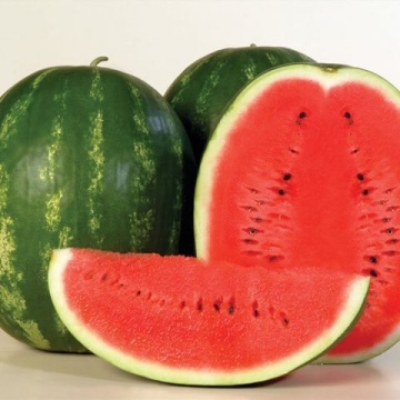 Pepene verde Crimson Sweet (2000 seminte) soi semitimpuriu coaja dungata, miez zemos, dulce, Florian