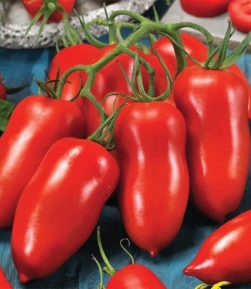 Pozzano F1 (250 seminte) seminte rosii nedeterminate tip San Marzano, tomate alungite productive, gust excelent, rezistente la boli, Enza Zaden