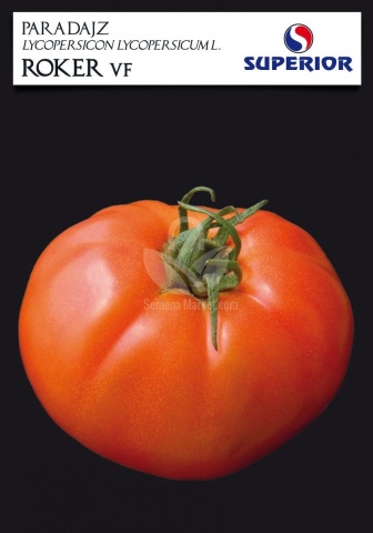 Roker (1500 seminte) tomate pentru camp soi sarbesc, Superior Seeds - Img 3