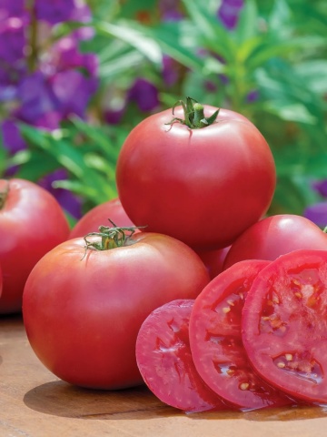 Roselady F1 (30 seminte) rosii roz semitimpurii semideterminate, randament ridicat, dulci, aromate, Seklos