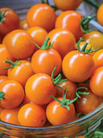 Rosii Orange Cherry (60 seminte) tomate cherry portocalii, soi timpuriu, crestere nedeterminata, Agrosem - Img 1