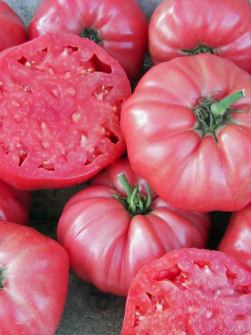 Rosii Roz (90 seminte) tomate roz, soi semitimpuriu, gust deosebit, Agrosem - Img 2