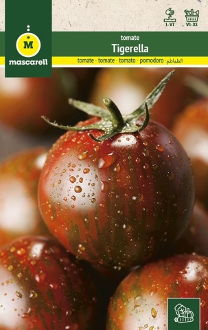 Tigerella (60 seminte) tomate striate cu dungi portocalii, gust placut, Mascarell - Img 5