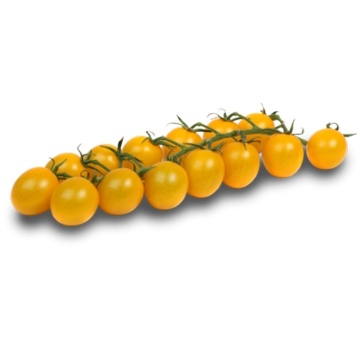 Tobcocktail F1 (250 seminte) de rosii cherry nedeterminate, fructe galbene mini-prunisoare, Yuksel