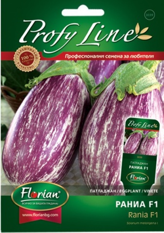 Vinete Rania F1 (20 seminte) vinete semi-rotunde pestrite cu dungi violet, Florian