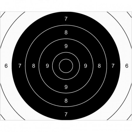 Set of 100 Airsoft Targets TS-2 PSP ISSF Center 25x20cm Range Solutions