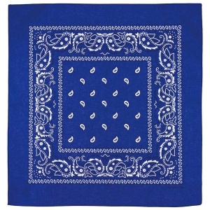 Bandana Tactica Paisley 55x55cm Albastra MFH - 2